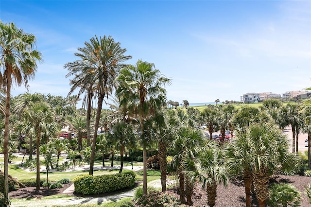 200 Ocean Crest Dr Unit 117, Palm Coast, FL 32137 - photo 16