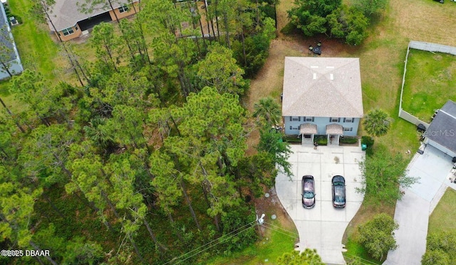 drone / aerial view