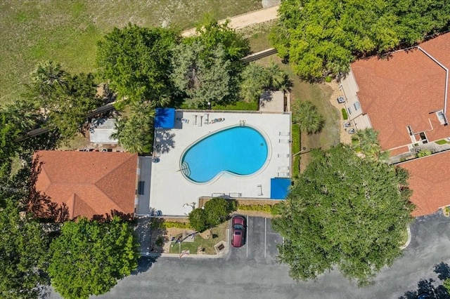 69 Rivers Edge Ln Unit 69, Palm Coast, FL 32137 - aerial view of a pool