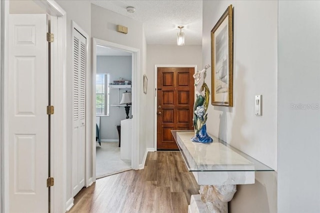 69 Rivers Edge Ln Unit 69, Palm Coast, FL 32137 - hall featuring wood finished floors, baseboards, and a textured ceiling