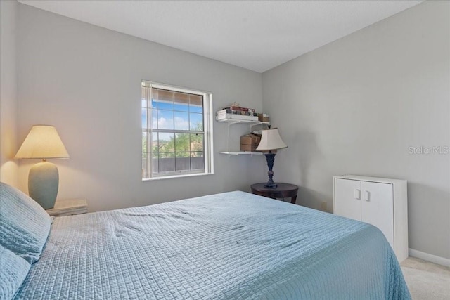 69 Rivers Edge Ln Unit 69, Palm Coast, FL 32137 - carpeted bedroom with baseboards