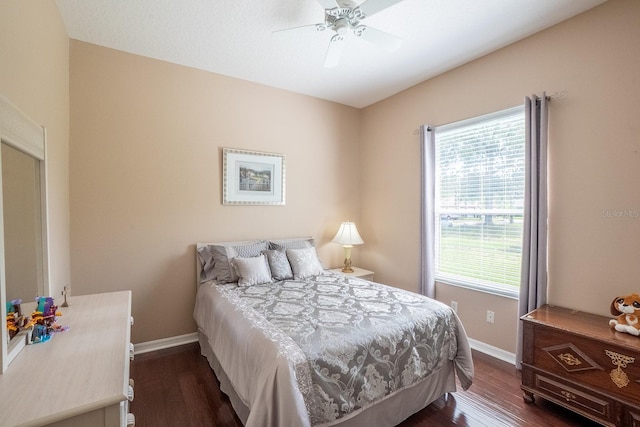 30 Westridge Ln, Palm Coast, FL 32164 - bedroom featuring multiple windows, baseboards, and dark wood-type flooring