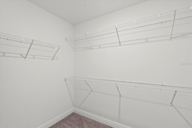 3828 S Atlantic Ave, Daytona Beach, FL 32118 - spacious closet featuring carpet