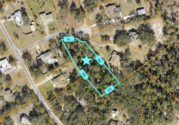 Scaup Place, De Leon Springs, FL 32130