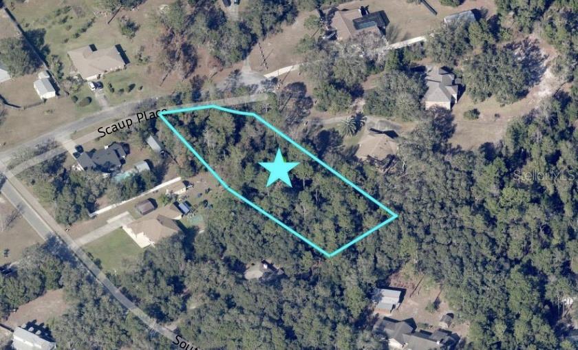 Scaup Place, De Leon Springs, FL 32130