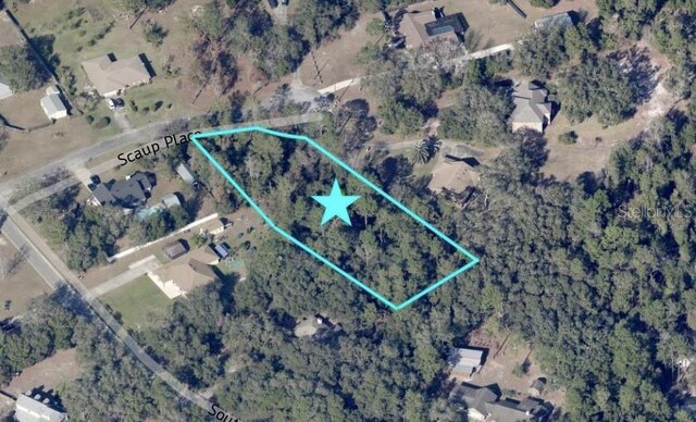 Scaup Place, De Leon Springs, FL 32130