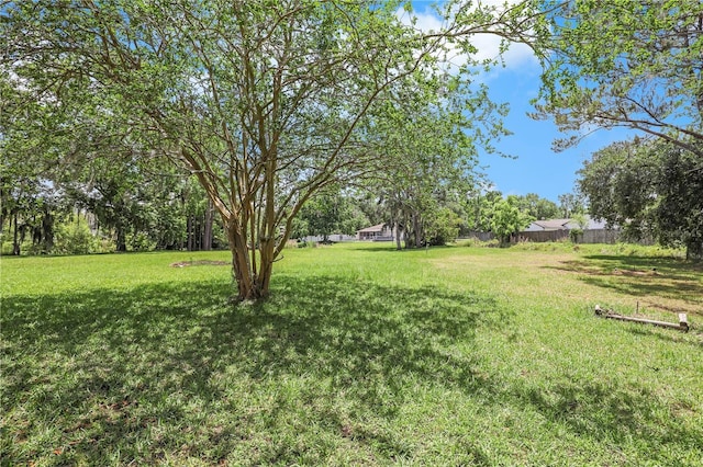 2212 Cortez Ct, Middleburg, FL 32068 - view of yard