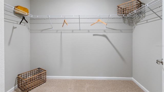 151 Greenwood Dr, Palm Coast, FL 32137 - spacious closet with carpet flooring