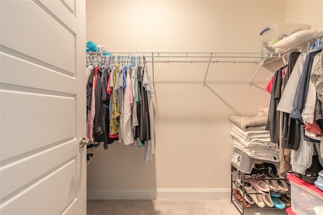 2840 Monaghan Dr, Ormond Beach, FL 32174 - spacious closet with carpet
