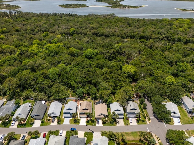7 Bristol Dr, Palm Coast, FL 32137 - aerial view of property and surrounding area featuring a large body of water, a forest, and nearby suburban area