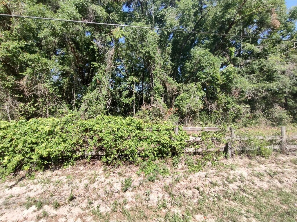 235 County Road 309, Satsuma, FL 32189 - photo 1
