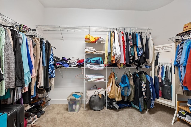 27 Bay Ct, Ormond Beach, FL 32174 - walk in closet featuring carpet flooring