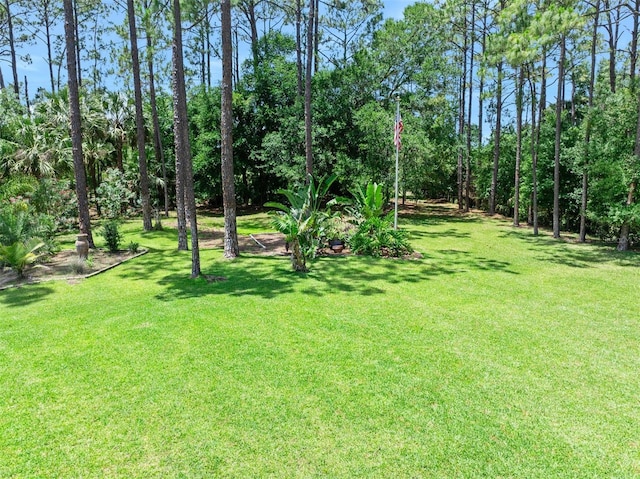 27 Bay Ct, Ormond Beach, FL 32174 - view of grassy yard