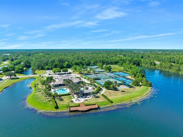 27 Bay Ct, Ormond Beach, FL 32174 - bird's eye view of a forest, a nearby body of water, and a pool
