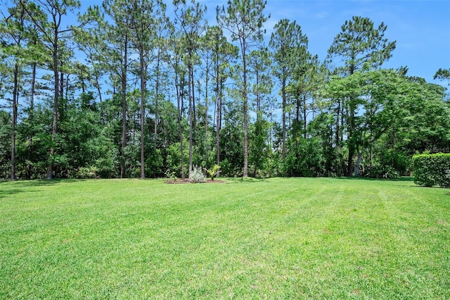 27 Bay Ct, Ormond Beach, FL 32174 - view of grassy yard