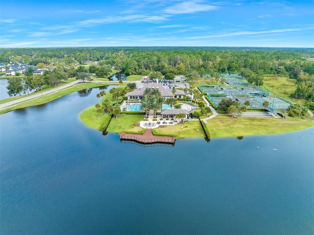 27 Bay Ct, Ormond Beach, FL 32174 - aerial overview of property's location featuring a large body of water and a forest