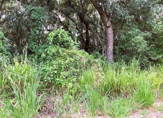 0 Avalon Rd, Winter Garden FL, 34787 land for sale