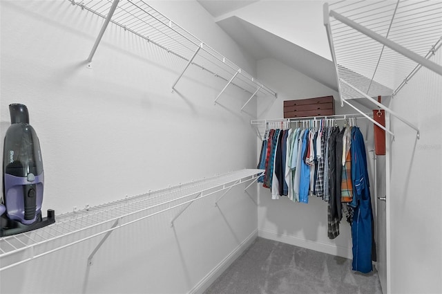 40 Oakleaf Way, Palm Coast, FL 32137 - spacious closet featuring carpet flooring