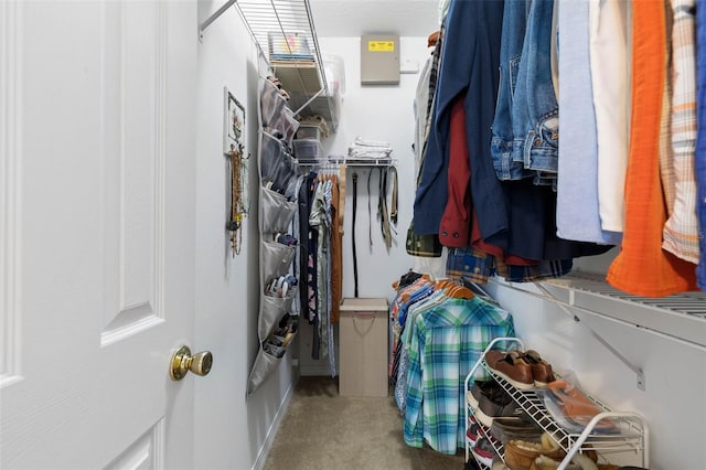 11 Roxboro Dr, Palm Coast, FL 32164 - spacious closet with carpet flooring