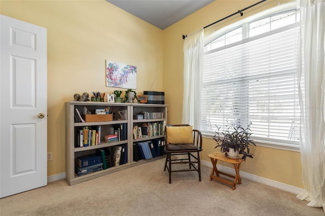 11 Roxboro Dr, Palm Coast, FL 32164 - sitting room with carpet flooring and baseboards
