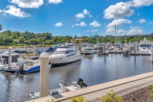 102 Yacht Harbor Dr Unit 263, Palm Coast, FL 32137 - photo 30
