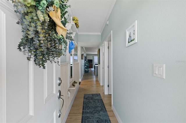 80 Surfview Dr Unit 721, Palm Coast, FL 32137 - entrance foyer with light wood-type flooring and ornamental molding
