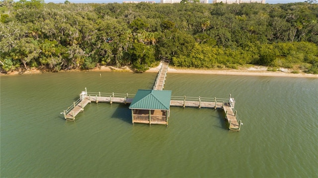 80 Surfview Dr Unit 721, Palm Coast, FL 32137 - dock with a water view and a forest view