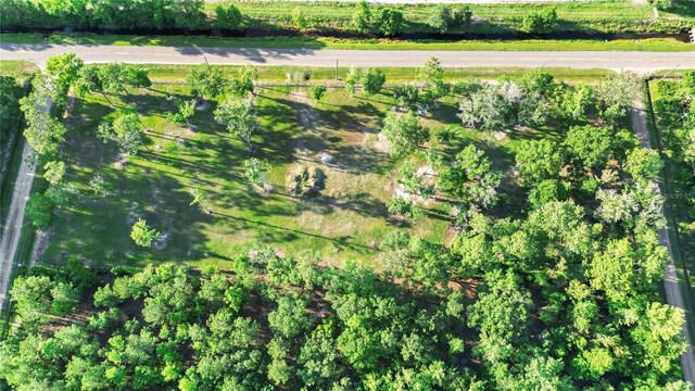 5325 Melanie St, Hastings, FL 32145