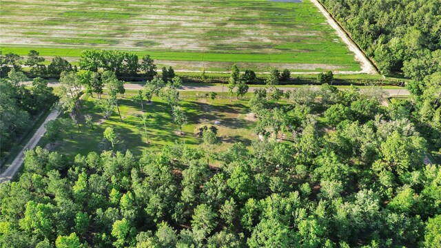 5325 Melanie St, Hastings, FL 32145