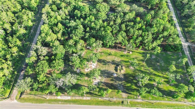 5325 Melanie St, Hastings, FL 32145