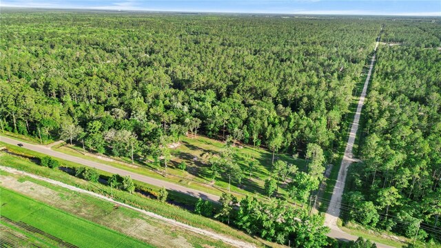 5325 Melanie St, Hastings, FL 32145
