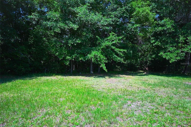 6786 Gaspar Cir W, Jacksonville, FL 32219 - photo 3