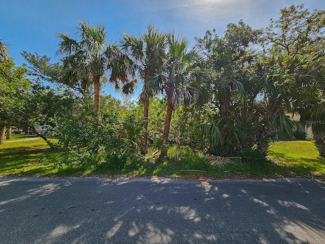 1915 S Palmetto Ave, Flagler Beach, FL 32136