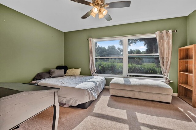1602 Prospect St, Palatka, FL 32177 - photo 12