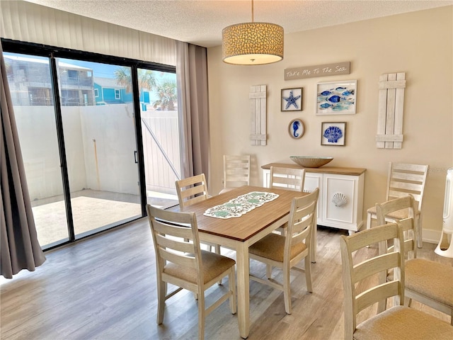 1601 N Central Ave Unit G10, Flagler Beach, FL 32136 - dining room with light wood-type flooring and a textured ceiling
