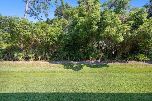 33 Veranda Way Unit 33, Palm Coast, FL 32137 - view of green lawn