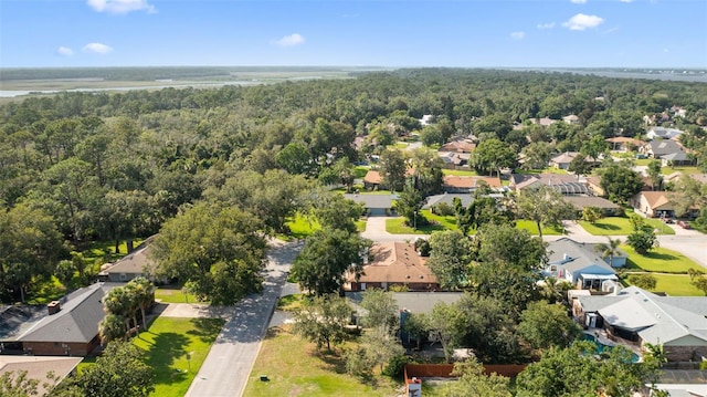 1317 Northside Dr, Ormond Beach, FL 32174 - aerial perspective of suburban area with a forest