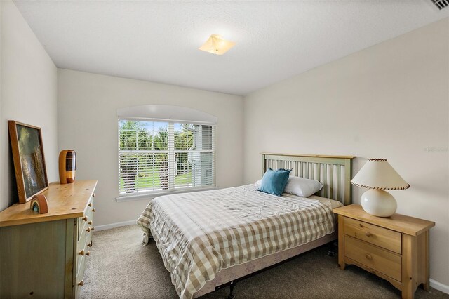 341 Valverde Ln, Saint Augustine, FL 32086 - photo 34