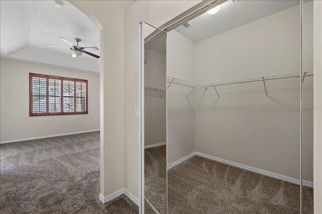 100 Point Pleasant Dr, Palm Coast, FL 32164 - walk in closet with carpet flooring, a ceiling fan, arched walkways, and a raised ceiling