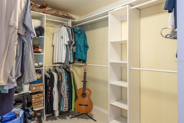 5009 Shore Dr, Saint Augustine, FL 32086 - spacious closet with carpet