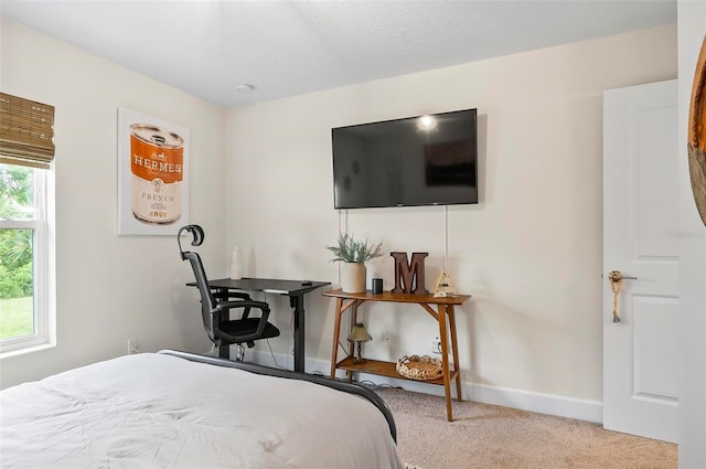 40 Biscayne Dr, Palm Coast, FL 32137 - bedroom with carpet flooring and baseboards
