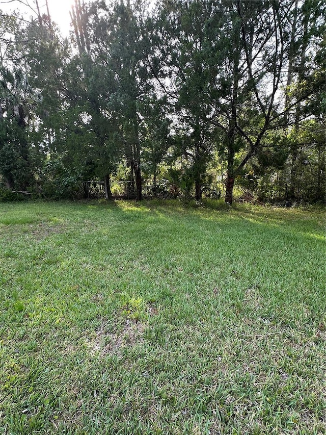 4 Sleepy Hollow Trl, Palm Coast, FL 32164 - view of green lawn