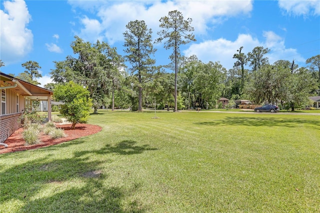 1466 Arena Rd, Fleming Island, FL 32003 - view of grassy yard with view of wooded area