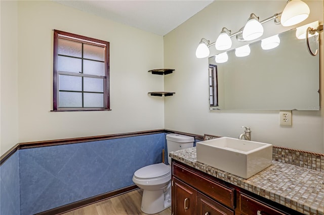 1466 Arena Rd, Fleming Island, FL 32003 - bathroom with wood finished floors, toilet, wainscoting, and vanity
