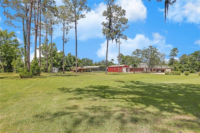 1466 Arena Rd, Fleming Island, FL 32003 - view of green lawn