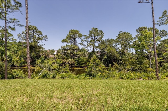 47 Providence Ln, Palm Coast, FL 32164 - view of local wilderness