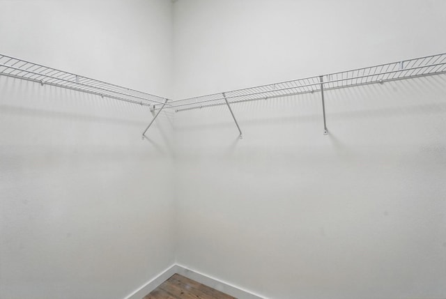 40 Pinetree Dr, Palm Coast, FL 32164 - spacious closet featuring wood finished floors
