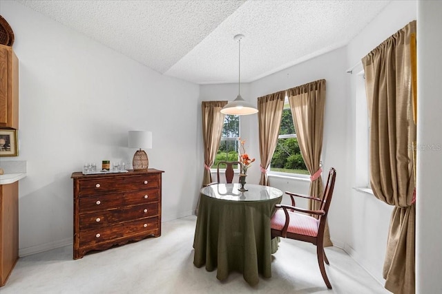 19 Utica Path, Palm Coast, FL 32164 - dining area featuring a textured ceiling, light colored carpet, and baseboards