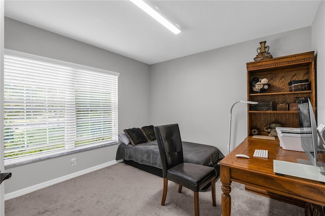 4 Contee Ct, Palm Coast, FL 32137 - home office with light carpet and baseboards