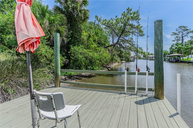 4 Contee Ct, Palm Coast, FL 32137 - dock featuring a water view